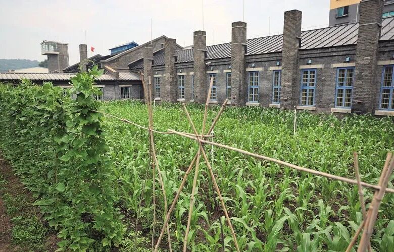 (zhn) һʷoǰġ`֮(zhn)Vձ(zhn)؄e(bo)