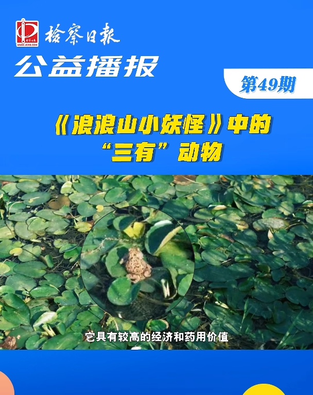 沥(bo)ɽС֡еġС(dng)